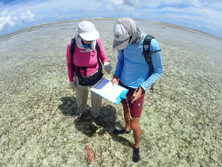 New study sheds light on the distribution of seagrass in Seychelles’ EEZ
