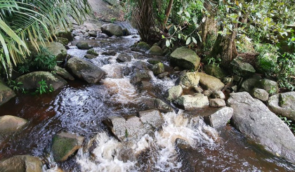 World Rivers Day 2024