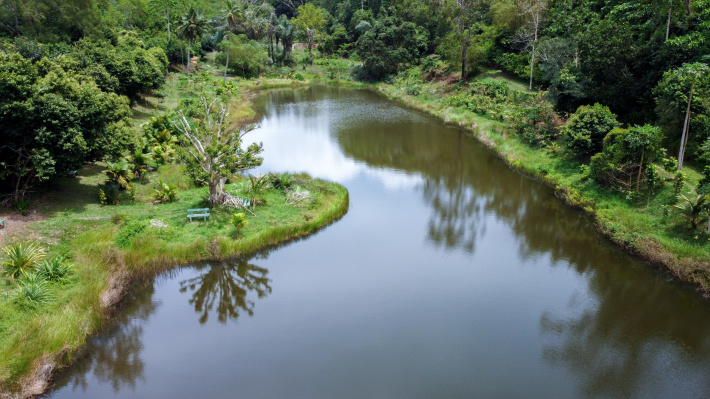 World Wetlands Day 2025   