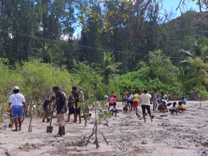 Zenn lo Praslin i partisip dan aktivite plant mangliye