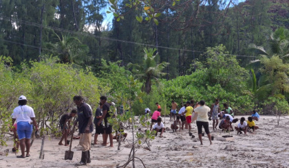 Zenn lo Praslin i partisip dan aktivite plant mangliye
