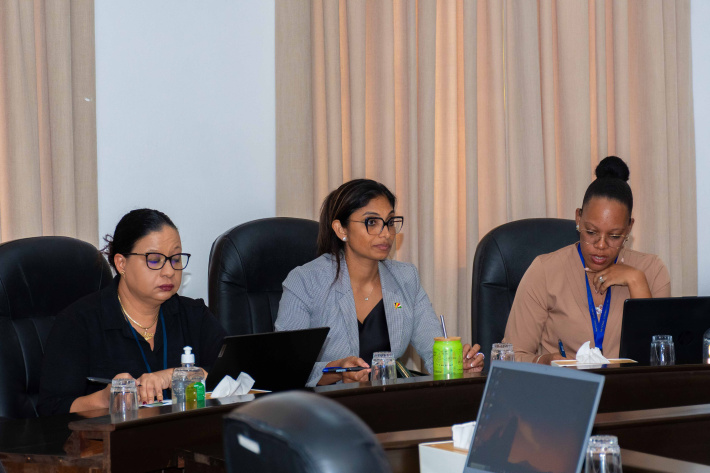 Scrutiny of Bills Committee reviews key legislation in first trimester of 2005