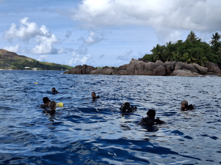 International Biodiversity Day 2025