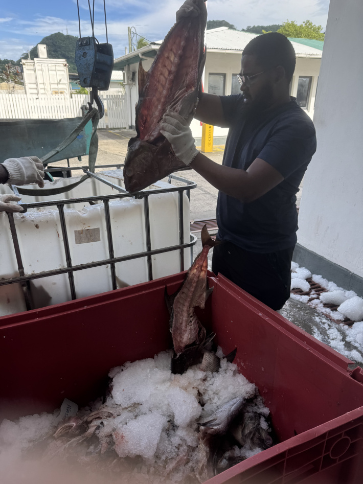 Ocean growth fertiliser: Harnessing ocean waste for a greener Seychelles