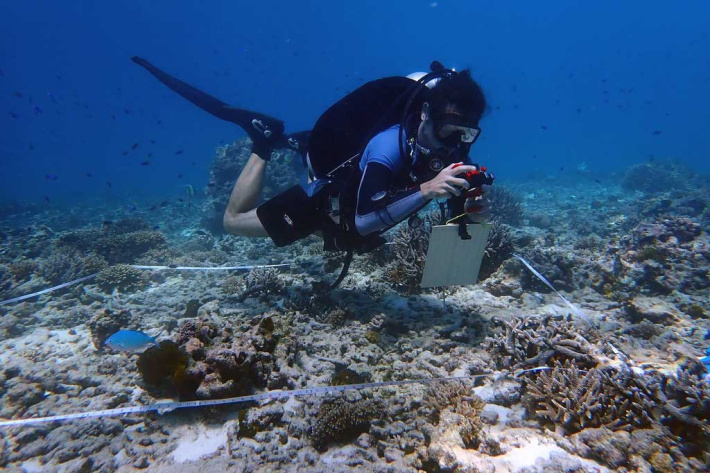 Canon, Coral Spawning Lab and Nature Seychelles team up to regenerate coral reefs