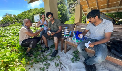 Fruit flies in Seychelles