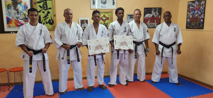 Karate: Kyokushikai