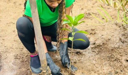 SPA teams up with partners to mark World Mangroves Day