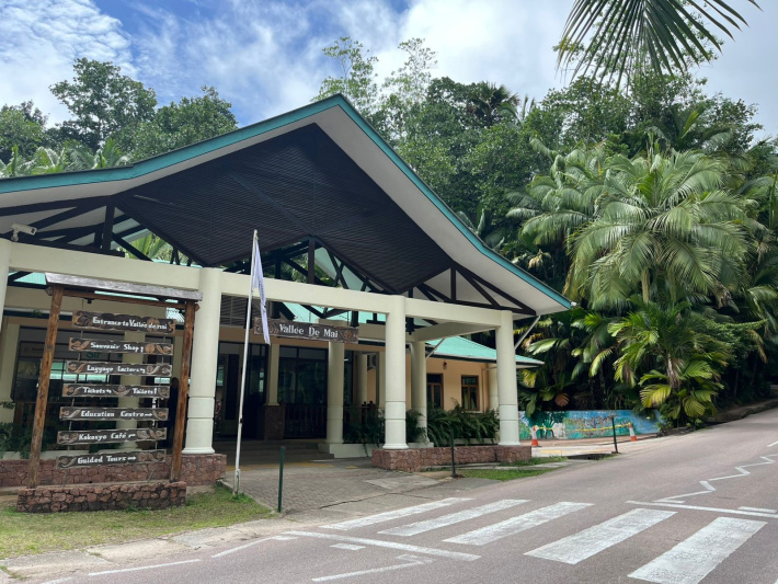 Spotlight on the Vallée de Mai
