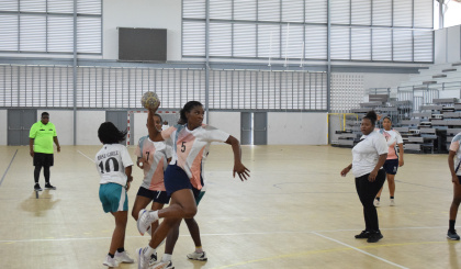 Handball: 2025-2026 league