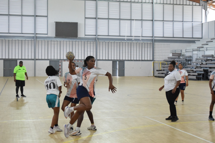 Handball: 2025-2026 league