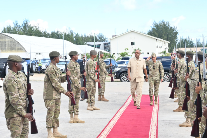 SDF marks Defence Forces Day