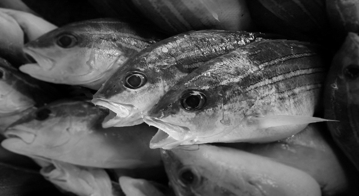 Health benefits of oily fish