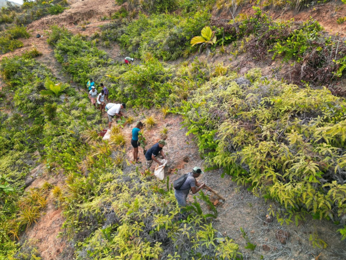 TRASS plants hope across Praslin, one tree at a time   