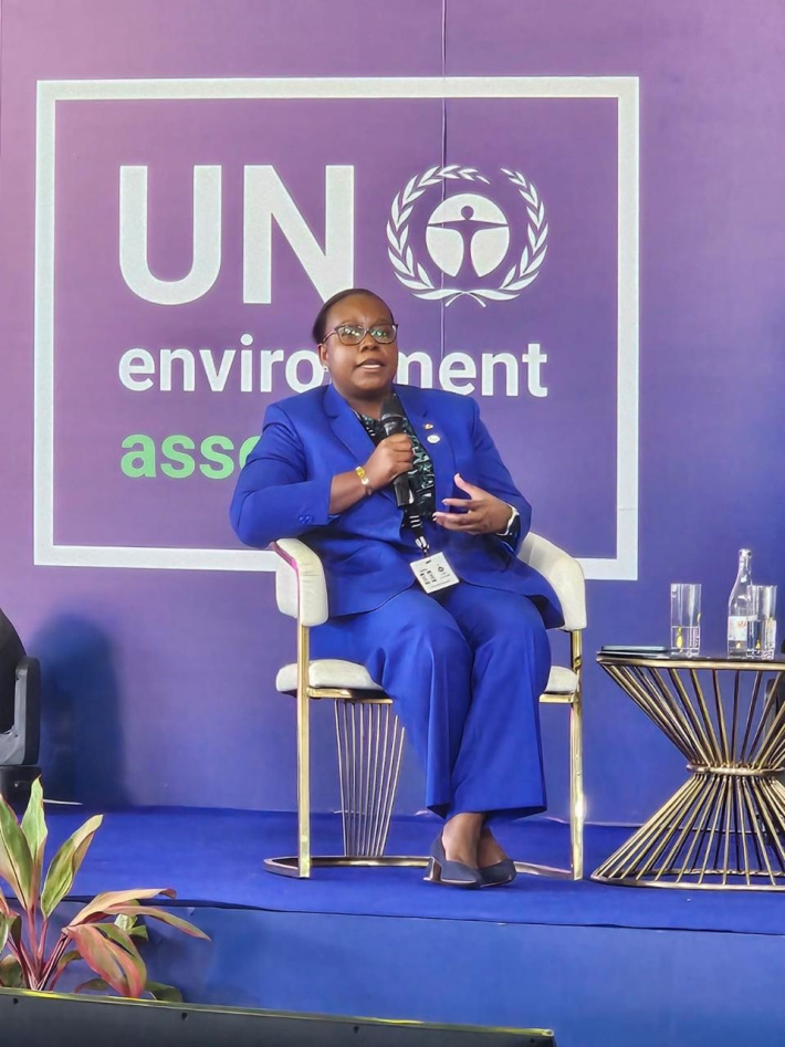 Seventh Session of United Nations Environment Assembly