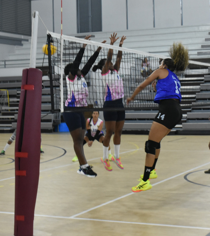 Volleyball: Top Four Championship