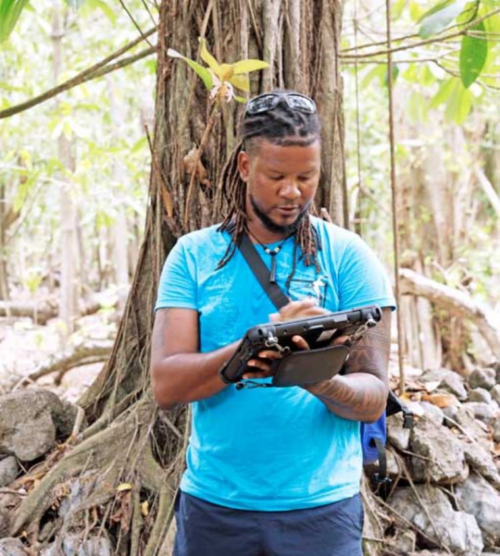 On the frontline of turtle conservation: Cousin island’s nesting season