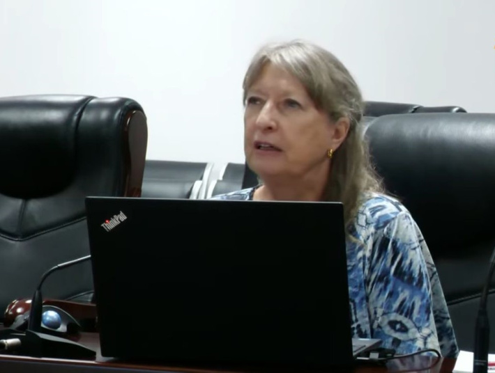 Assomption has the best green turtle beach in Seychelles, expert tells inquiry