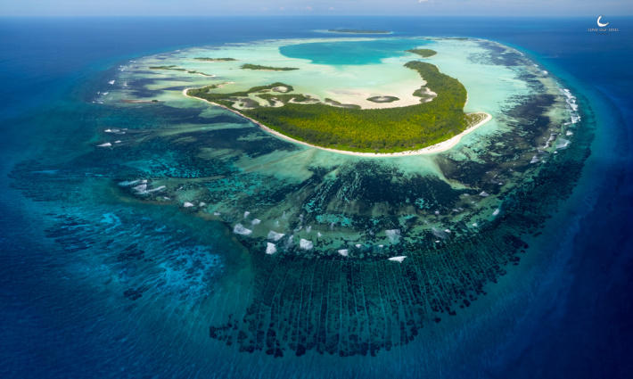 Seychelles leads region in safeguarding sharks and rays