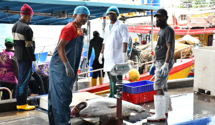 Ocean Basket charts a steady course from bycatch to centre stage