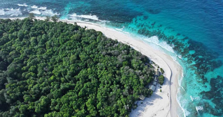 Nature can protect us but only if we protect it