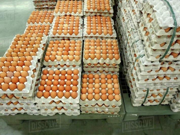 Egg prices slide as supply rebounds