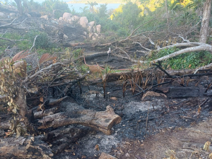 Bush fire at Mont Plaisir contained after five-hour effort