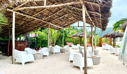 The Banana Sea Club: A growing family business