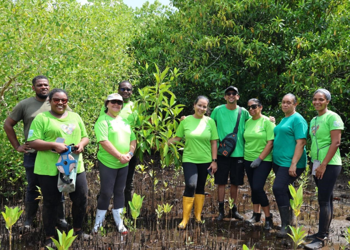 Air Seychelles marks World Wetlands Day with community clean-up, training