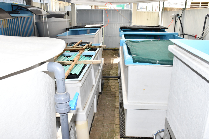 SeyCCAT hands over R1.5 million  aquaculture research gear to SFA