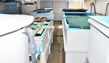 SeyCCAT hands over R1.5 million  aquaculture research gear to SFA