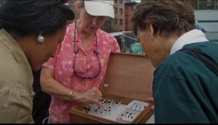 World Wildlife Day 2026: ‘Healing nature, healing humanity’