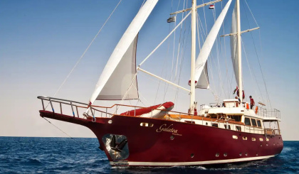 Four missing after vessel sinks near Marie-Louise island