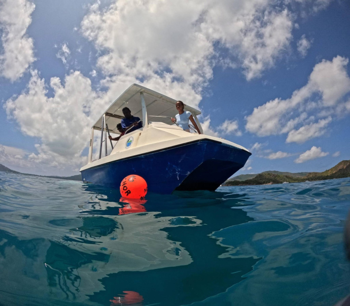 Unauthorised anchoring threatens coral recovery in Curieuse