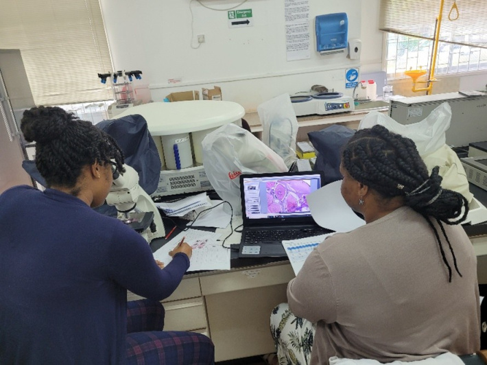 Protecting tomorrow’s catch: How science is guiding sustainable fisheries in Seychelles