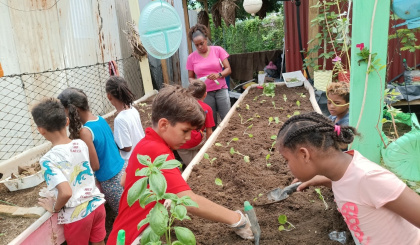 CAPF supporting the Little Explorers Club Bel Ombre under the Grow Your Own Food Movement (Green Harvest)