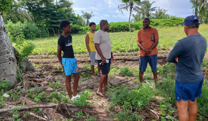 En group zenn fermye in pare pour esey bann metod adaptasyon klimatik