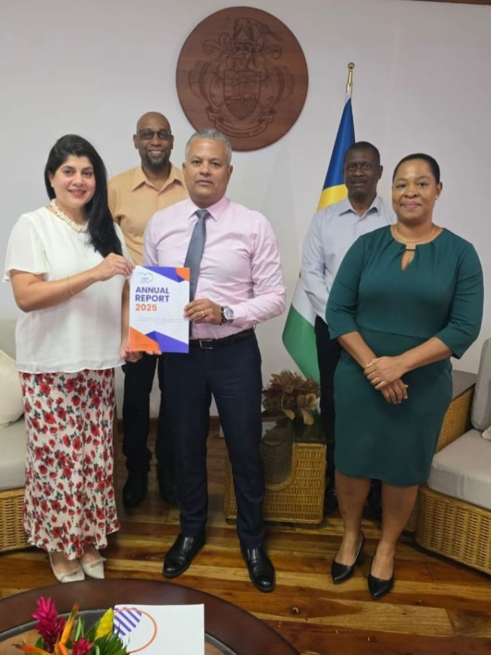 Vice President receives Information Commission annual report, strategic plan