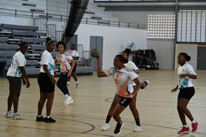 Handball: SFF National League