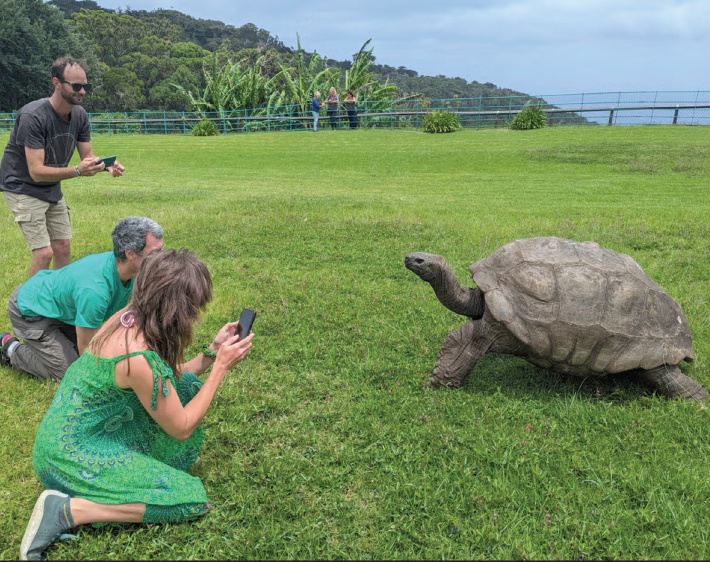 Johny boy, world's oldest known tortoise still very much alive despite death rumour   