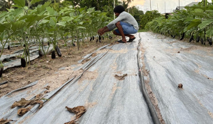 Sitiasyon vol lo bann laferm i tre alarman