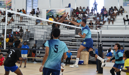 Volleyball: National leagues