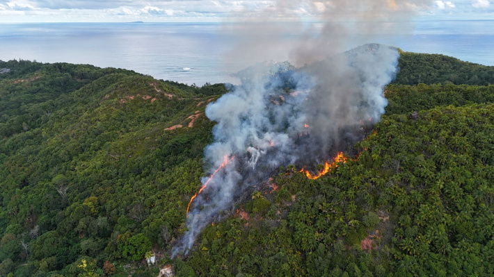 Gro dife pe ravaz lafore lo Praslin