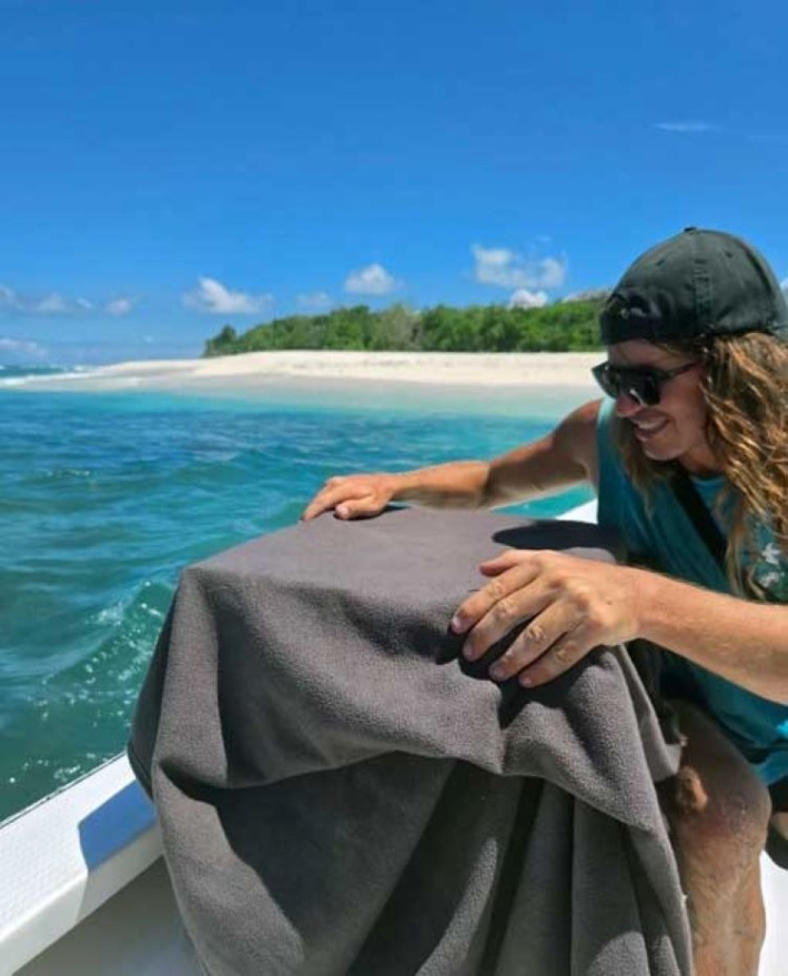 Seychelles Kestrel rescued from the deadly grip of the Mapou
