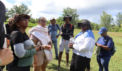 Ministry oversees quota-based egg harvesting while monitoring Sooty tern populations