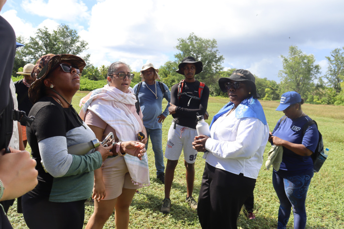 Ministry oversees quota-based egg harvesting while monitoring Sooty tern populations
