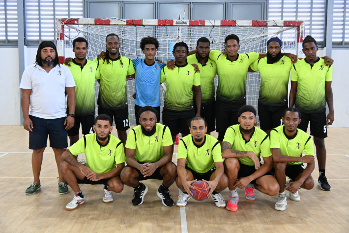 Handball: National League