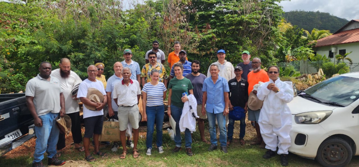 International Bee Day 2026: Protecting Seychelles’ precious pollinators