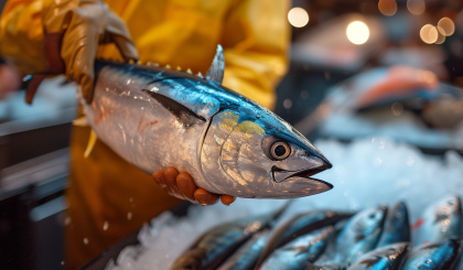 EU welcomes progress on sustainable tuna management at key IOTC meeting