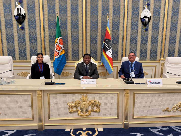Seychelles delegation engages in Africa‑EU Assembly